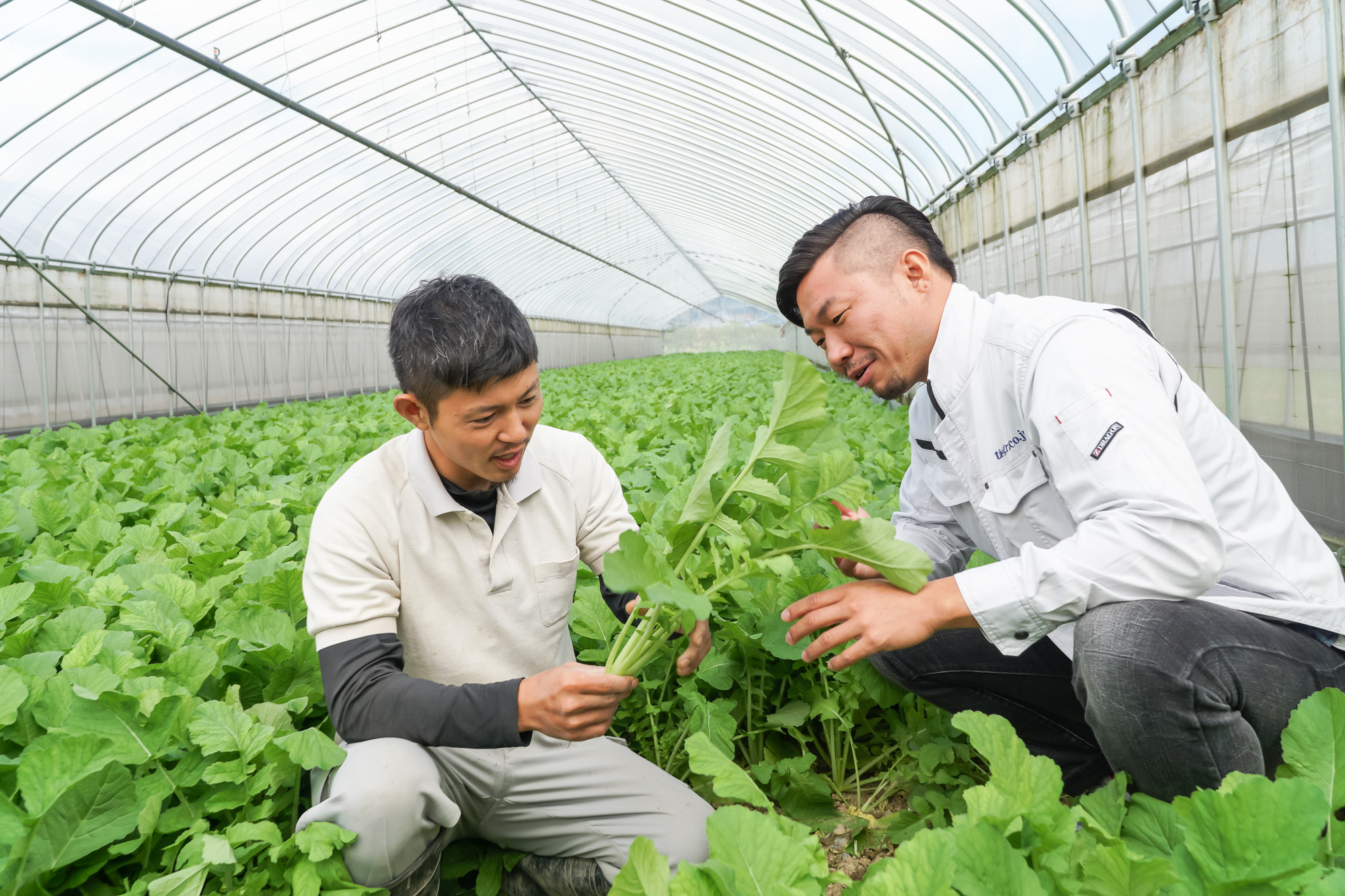 農家さんと作業中